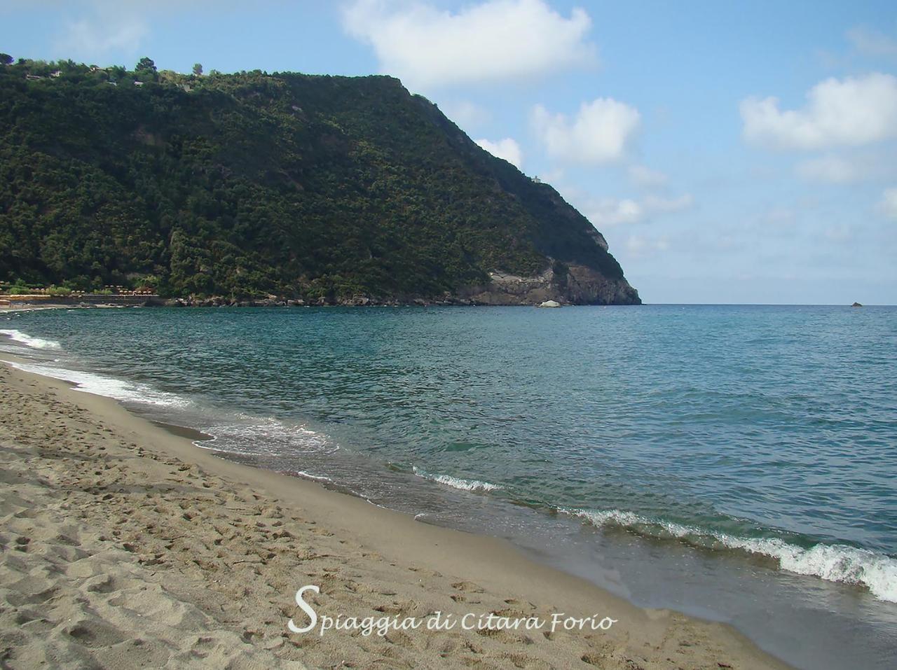 Forio di Ischia 卡萨奇利亚诺住宿加早餐旅馆酒店 外观 照片